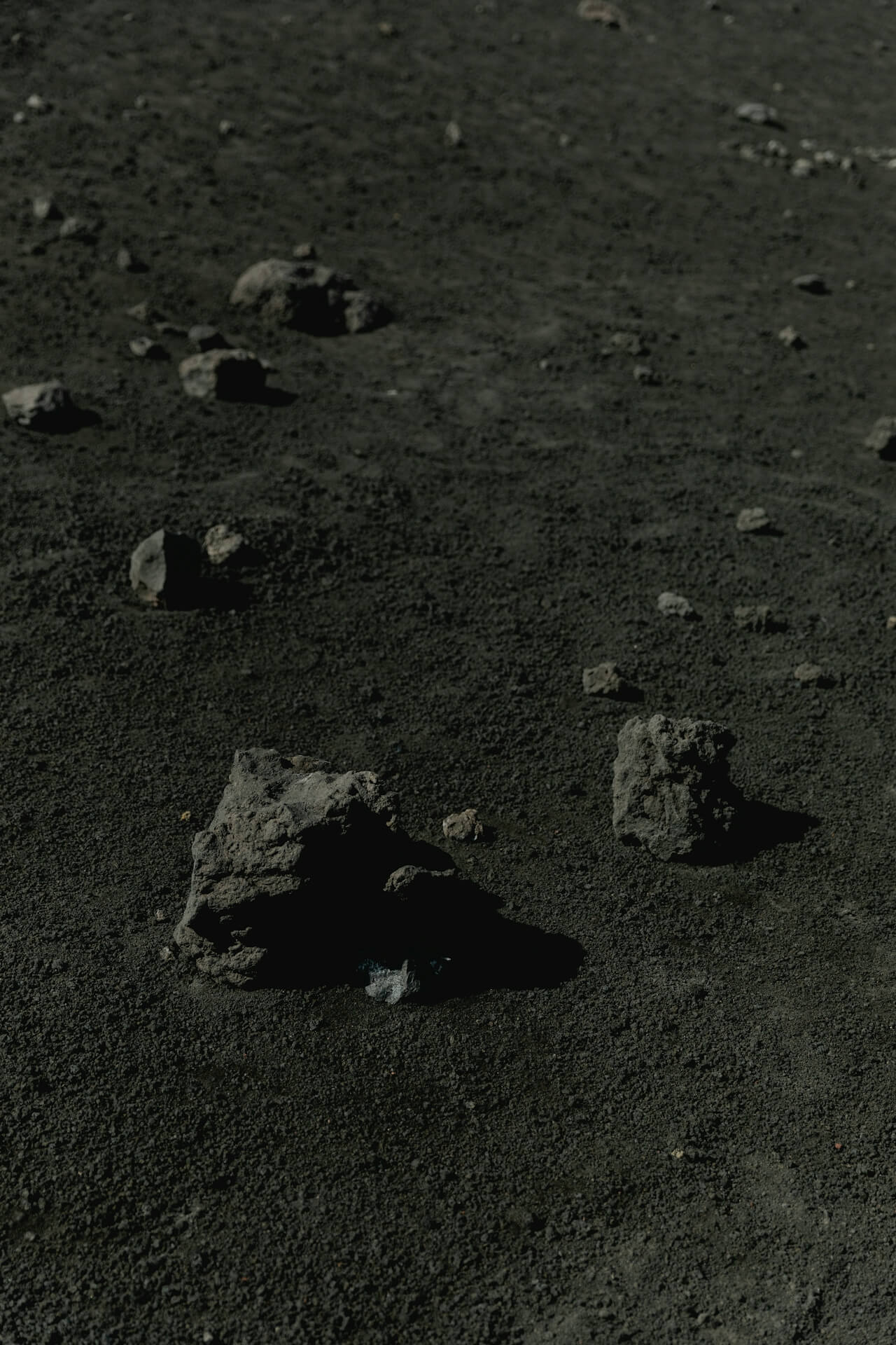 How ada was built with COO, Matt Paver Featured Image